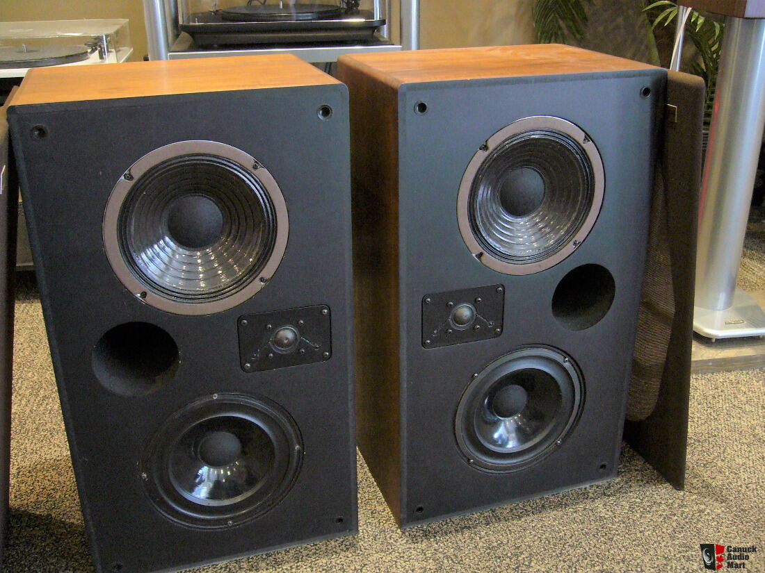 Delphi Audio Large Bookshelf Speakers Reduced Photo 1930048
