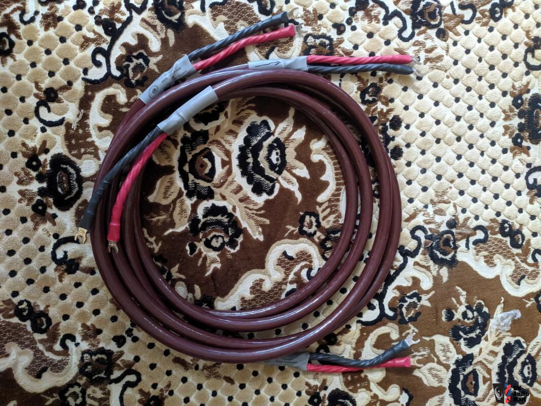Cardas Golden Cross Speaker Cable 2 5m 8ft Photo 3782793 UK Audio 