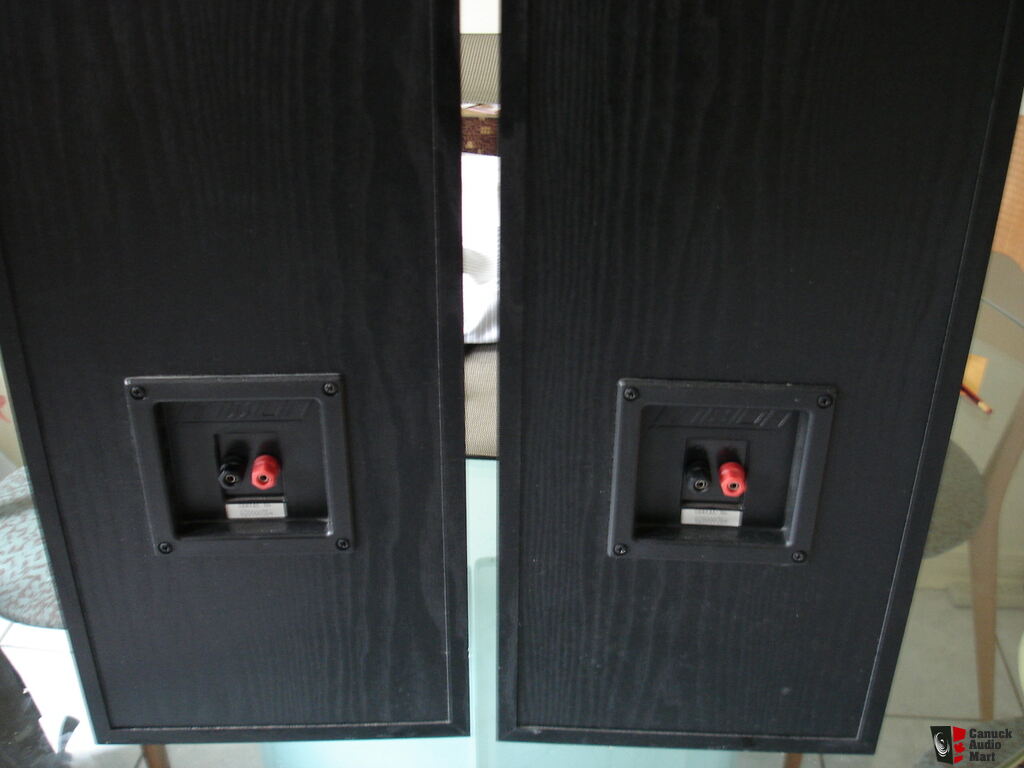 Speaker Cabinets Completed With Crossover For Diy Project Photo