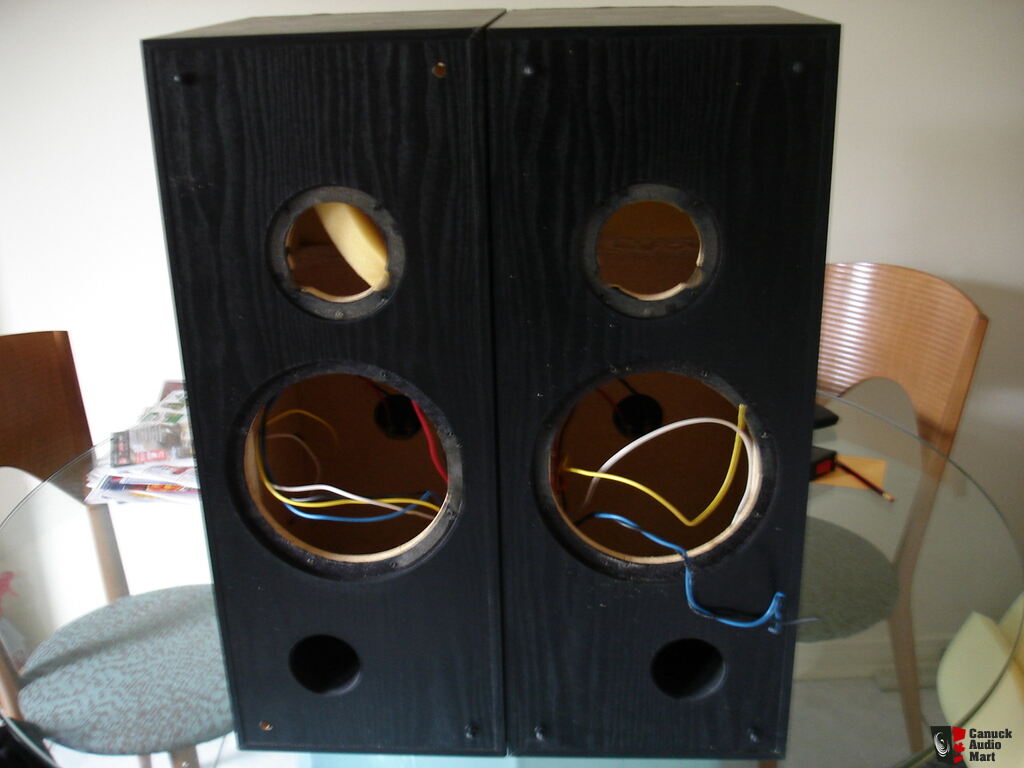 Speaker Cabinets Completed With Crossover For Diy Project Photo